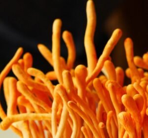 22d2218341375a8f6fc2de791ff2b38c