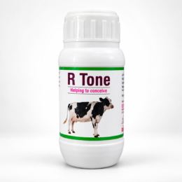 R-Tone Cordyceps wellness powder for cows and buffaloes by Rudra Biotech